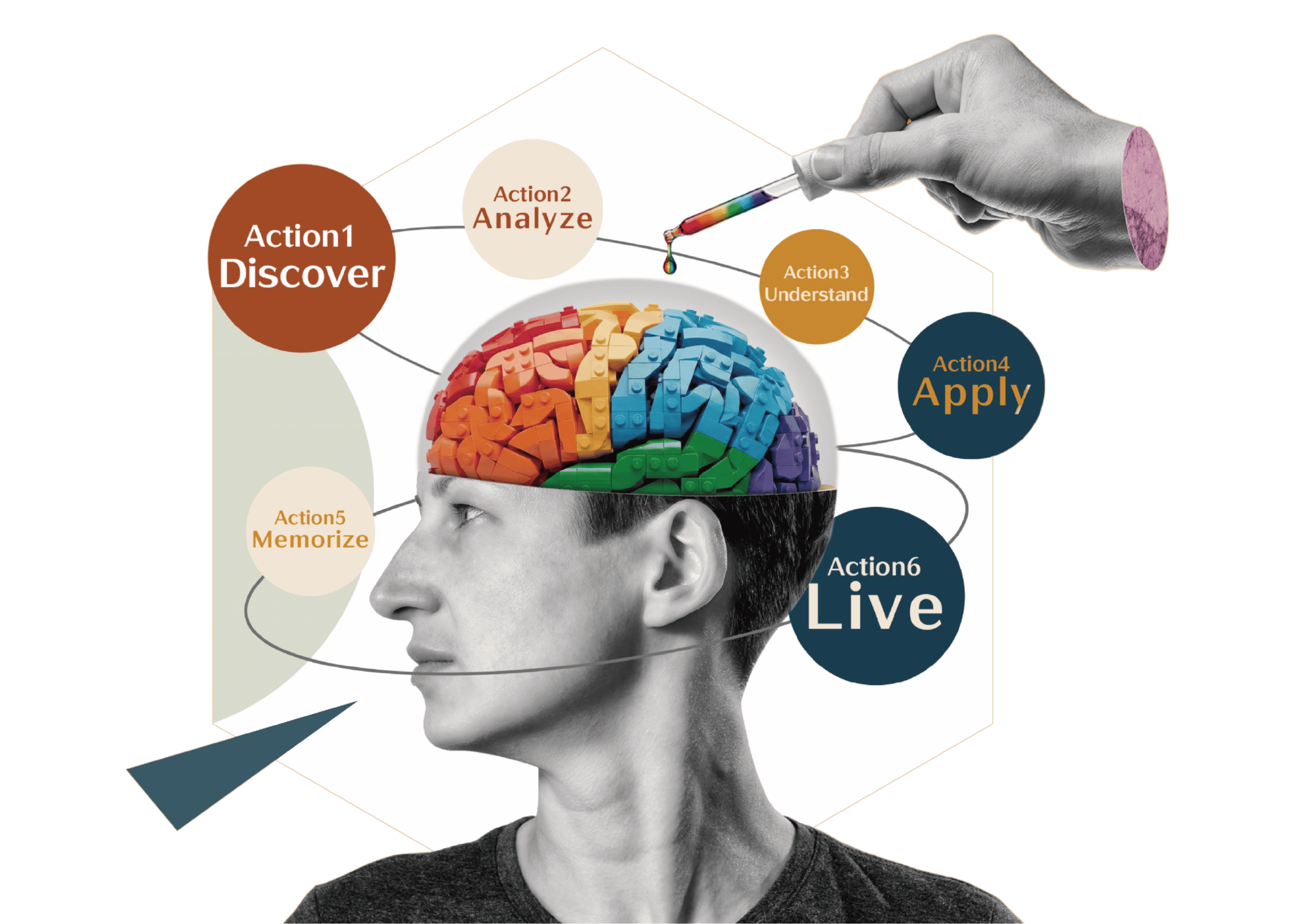 NOUVA 6 步認知循環:Discover 主動探索、Analyze 邏輯分析、Understand 深度理解、Apply 靈活應用、Memorize 自然記憶、Live 真實實踐