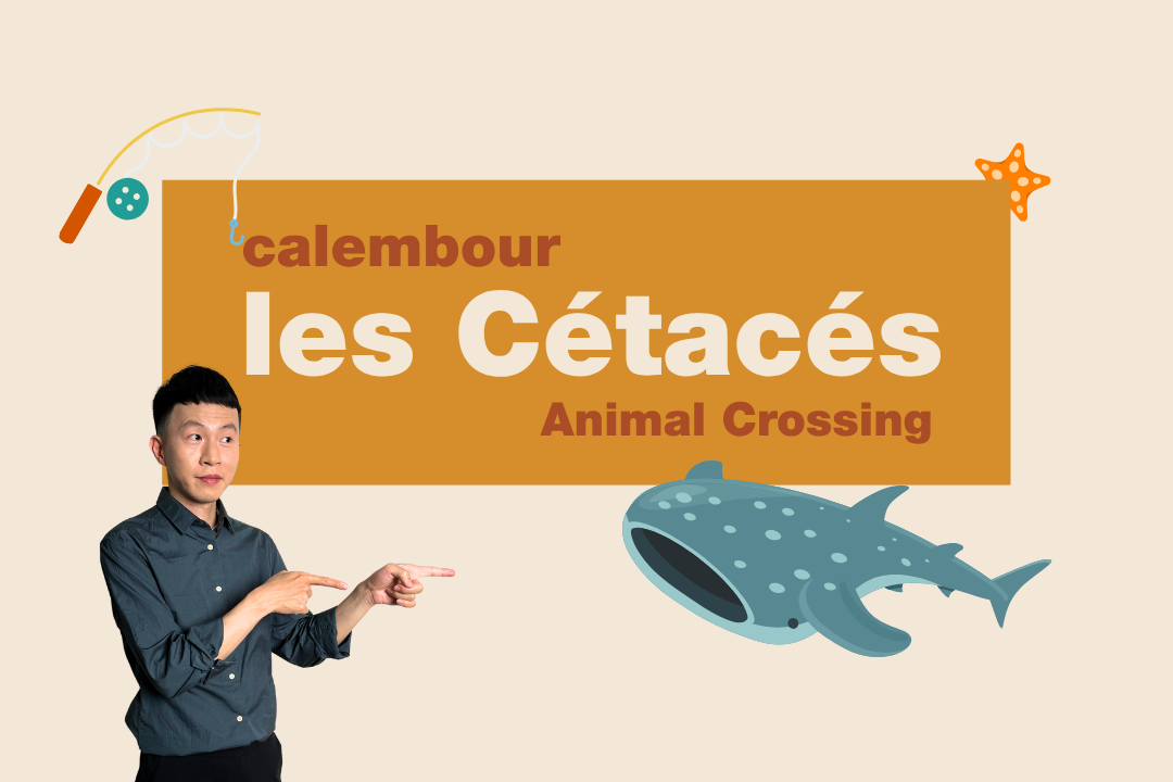從動森學法文雙關語：海洋哺乳類 les Cétacés